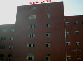 LALIZAS | 2008 –  Establecimiento de un centro logístico en China